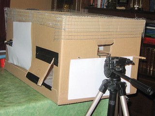Une boite pour photographier les oiseaux