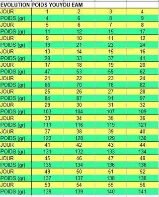 Tableau évolution poids youyou EAM