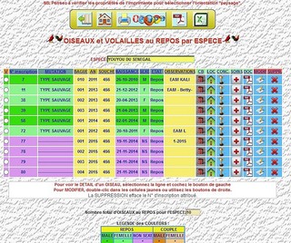 Programme élevage oiseaux