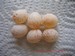 oeufs de mésanges bleues : blancs tachetés de brun-roux