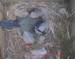 La mésange bleue sur le nid, protégeant les bébés