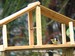 Mésange charbonnière sur un mangeoire
