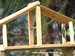 Mésange charbonnière sur un mangeoire