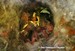 Une mésange charbonnière surprise dans le nid avec ses bébés (23/05/06)