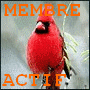 Avatar du membre